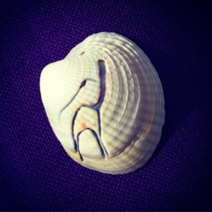 Cockle shell art